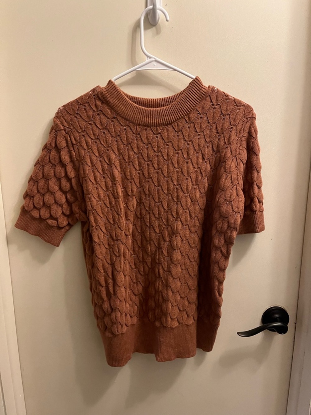 Textured Short-Sleeve Sweater in Rust